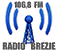 Radio Brezje